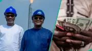 Femi Otedola Predicts Naira Below N1,000/$ As Dangote Refinery Hits Full Capacity