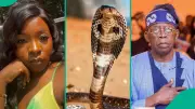 FG Issues Critical Snake Bite Advisory After Nanyah Music's Tragic Death