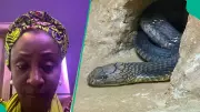 Former Kaduna Governor's Wife Shares Cobra Home Invasion Video, Sparks Snake Safety Debate