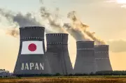 Japan to Restart World's Largest Nuclear Plant After Alarm Issue Resolved