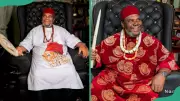 Man Apologizes for Spreading False Death Rumors About Nollywood Legend Pete Edochie
