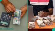 Naira Gains for Third Consecutive Week as CBN Allows BDCs into Official FX Market