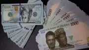 Naira Maintains Stability Against Dollar in Early February 2026 Trading