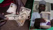 Naira Strengthens to N1,351/$ as Nigeria's External Reserves Hit 8-Year High
