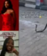Nigerian Doctor Expresses Shock Over Singer's Snakebite Death, Contrasts UK's 50-Year Record