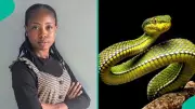 Nigerian Lady Recounts Midnight Snake Encounter on Her Bed, Credits Divine Protection