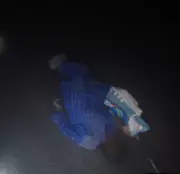 Nigerian Troops Repel Insurgents, Neutralize Suspected Informant in Borno