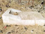 Ogun Police Arrest Man for Exhuming Corpses from Cemetery