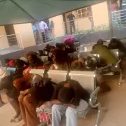 Plateau Taskforce Nabs 184 in Major Human Trafficking Crackdown