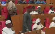 Senate Erupts in Chaos Over Motion for Individual Voting on E-Transmission of Results