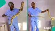 Snake Expert Dr Mark Ofua Reveals Key Factors That Attract Snakes to Nigerian Homes