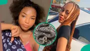 Three Nigerians Share Survival Stories After Snakebites Without Anti-venom
