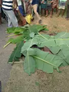 Tragic Bayelsa Accident: Truck Crushes Five Siblings from Same Family
