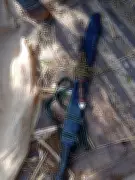 Yobe Man Arrested for Allegedly Killing Neighbor Over Wife Infidelity Suspicion