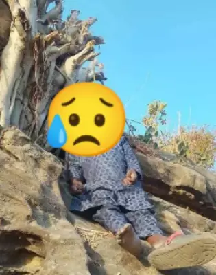 Adamawa Police Probe Unnatural Death as Man Found Hanging on Tree