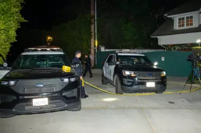 Bullet Holes Scar Rihanna's Beverly Hills Mansion After AR-15-Style Rifle Attack