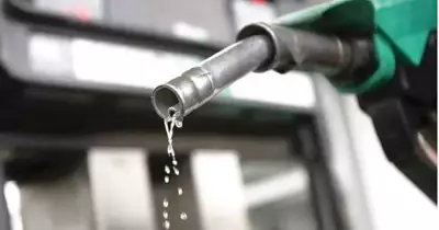 Dangote Refinery Cuts Petrol Price to ₦1,200 Per Litre Amid Global Oil Volatility