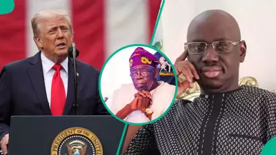 Ex-APC Leader Urges Trump to Halt Security Cooperation with Nigeria Over Insecurity