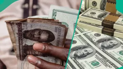 Naira Gains Strength Across Forex Markets Following CBN's New Diaspora Remittance Directive