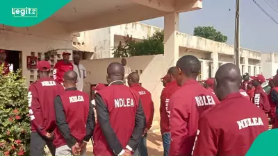NDLEA Arrests Former Lagos Councilor With 40kg of Skunk in Drug Bust