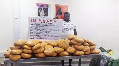 NDLEA Busts Major Drug Syndicates, Intercepts Cocaine in Stockfish Heads