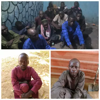 Nigerian Army Captures 53 Suspected Terrorist Suppliers in Borno Within One Week