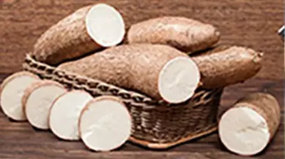 Nigeria's Path to Dominating the Ethanol Market Through Cassava Production