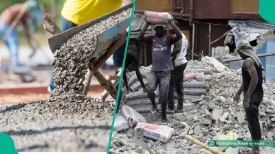 Nigeria's Top Cement Firms Report Record N1.65 Trillion Profit Amid Price Surge