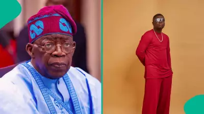 Seyi Law Declares Tinubu Nigeria's Economic Savior, Stakes Everything on His Leadership