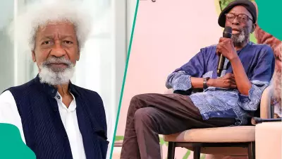Wole Soyinka Honors Late Scholar Biodun Jeyifo, Recalls Ibadan University Days