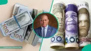 Naira Gains Ground, Appreciates to ₦1,366/$ in Official Forex Market