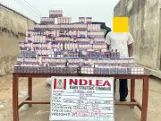 NDLEA Arrests Suspect with 1,499 Codeine Syrup Bottles in Kano Operation