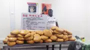 NDLEA Busts Major Drug Syndicates, Intercepts Cocaine in Stockfish Heads
