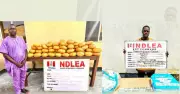 NDLEA's Nationwide Crackdown: Ex-Councillor, Others Arrested in Major Drug Busts