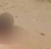 Nigerian Army Troops Foil Ambush, Neutralize Four Armed Criminals in Cross River