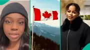 Nigerians in Canada Share Harsh Job-Hunting Realities and Experiences