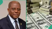 Nigeria's External Reserves Dip Below $50 Billion Amid Capital Flight