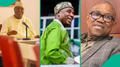ADC in Turmoil as Amaechi Mocks Atiku and Obi's 12 Million Votes