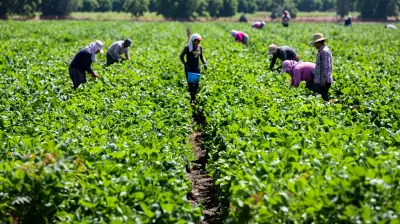 African Youth Urged to Lead Innovation-Driven Agriculture