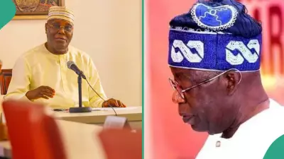 Atiku Fires Back at Tinubu: 'Not My Fault You Can't Read' in Scorching Retort
