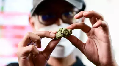 Cannabis Use in Men Linked to Miscarriage Risk and DNA Changes in Sperm