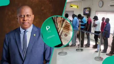 CBN, Banks, Fintechs Launch PSPC Platform to Fix Nigeria's Payment System Gaps
