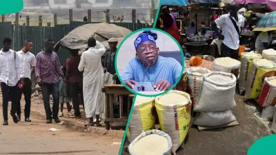 CBN Survey Reveals Electricity, Insecurity as Top Business Challenges in Nigeria