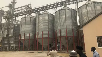 Expert Urges FG to End Silos in Agricultural Projects Amid Farmer Losses