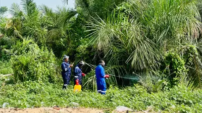 FG Launches Multi-State Campaign Against Tsetse-Borne Diseases