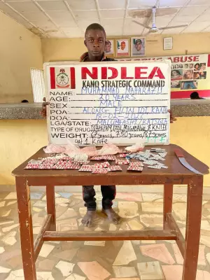 Kano Court Sentences Drug Suspect to 15 Years for Attacking NDLEA Officers