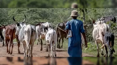 Kogi East Residents Raise Alarm Over Influx of Armed Strangers