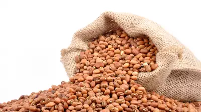 New gene-pyramided cowpea lines offer breakthrough against Striga parasite