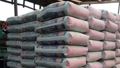 Nigeria Bans Cement, Poultry, Drugs from Non-ECOWAS Nations in 2026 Policy