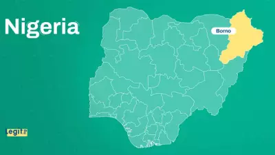 Nigerian Commanding Officer and Six Soldiers Killed in Borno State Terrorist Attack